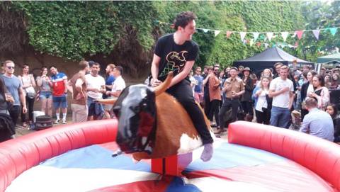 Rodeo Bulls in Lisburn