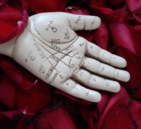 Tarot & Palm Readers in Calton