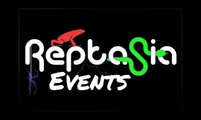 1 hour reptile handling experience