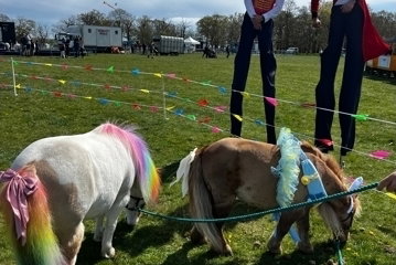 Miniature Ponies for all events!