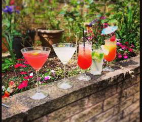 Dionysus Bars