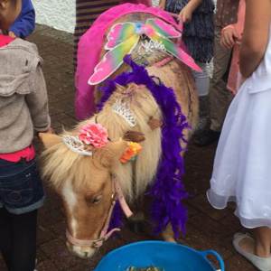Pony Party