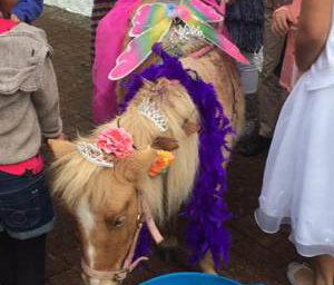 Pony Party