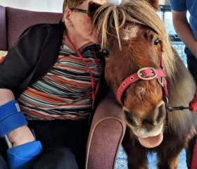 Lollipop Pony Parties