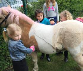Pony Parties 2 U