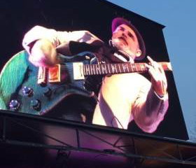 Freddie the Band