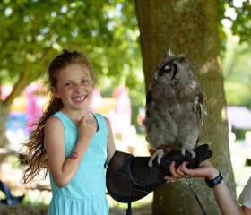 UK Owl and Raptor Centre