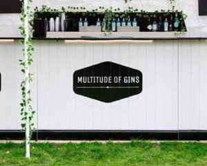 Multitude of Gins