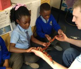 Wriggly Roadshow