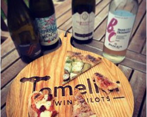 Tomelier Wine Pilots
