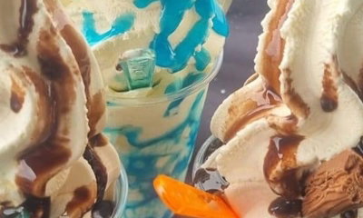 East Devon ices